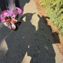 사적공원(하) 공중화장실 | 오사카 여행_2 유니버셜스튜디오 평일 후기(익스프레스X,닌테도 확약권, 키티 쇼), 무겐라멘