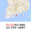 하얀에프앤비 이미지