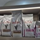 24시 해든동물의료센터 민락점 이미지