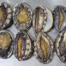 청하우체국 | 우체국쇼핑 바다마을 완도활전복 왕특대 1kg 택배후기 전복찜 게우소스 만드는방법