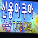 신용 아쿠아 수족관 이미지