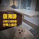 이케아 사이드 테이블 브룩스바라 온라인 구매 후기
