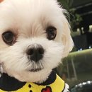 늘조은동물병원 이미지