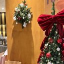 파스쿠찌양주옥정 | 파스쿠치 옥정 로데오점 편안한 이용 후기 ☕🎄