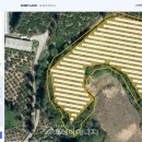 써니시스템 태양광발전소 이미지