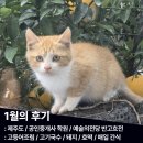 늘소랑목장 | [1월] 따뜻한 마음으로 가득한 1월의 후기