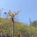 무진장농원 이미지