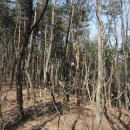 안심리 경로당 이미지