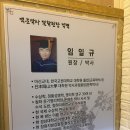 잉크박사 | 창원 사주 손금 백운박사철학원 후기