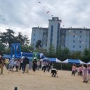 서울대왕초등학교 이미지