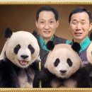 호박패밀리 이미지