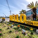 헬로 1204 이미지