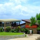 에이스 어학원 이미지