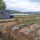 산울림농장 이미지