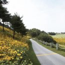 파인밸리CC