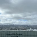 제일렌트카 | [미국 여행] 샌프란시스코 공항 알라모 렌트카 후기