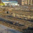 방성4리 이미지