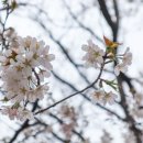 태조산 공원 이미지