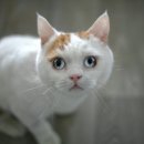 행운동물병원 이미지