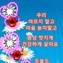 꽃 피는 계절 Daum카페