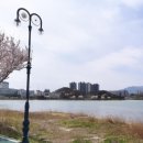 영랑공인중개사사무소 이미지