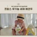 자연과사람을위한세탁 | 프랑스 유기농 에코두(Ecodoo) 세제 사용 후기 : 라벤더 향 세탁부터 울 세탁까지