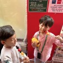 크앙탕후루 - 동구 구성로 168-1 | 수완지구 크앙탕후루 방문 후기 탕후루 모찌당고