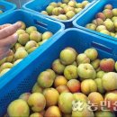 영천농협화남지점 이미지