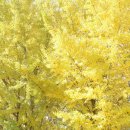 용면초등학교 이미지