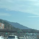 혜림회관 | 2026.03 일상🍀