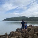 몽돌바다캠핑장 이미지