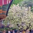 서산명소