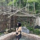 발리궁 | 파주 속 발리 🏝️🏡 "중휴림" 독채 풀빌라펜션 숙소 추천 (풀빌라수영장/개별야외자쿠지•BBQ 이용 후기)