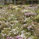 석곡농장 이미지