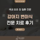튼튼동물병원 | 강아지 변이식 치료 후기, 청담 장튼튼 동물병원