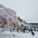 수채화A 이미지