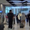 김포공항 국내선 식당가 푸드코트 플레이팅 홍대개미 메뉴 가격