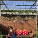 해담농장 이미지