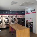 셀세탁소 이미지