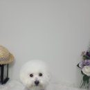 무브멍트 이미지