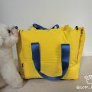 스윗테일 이미지