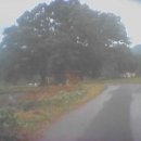 대현3리동곡 이미지