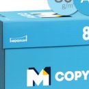 데일리엠카 이미지