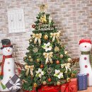 트리트리 이미지