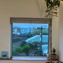 앞집커피 | [ 산책자의 집 ] 제주도 동쪽 느좋 감성 숙소 추천 | 앞집 후기