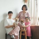 브로콜리스튜디오 이미지