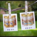 웃담 이미지