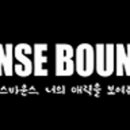 센스바운스 이미지