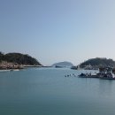 접도수산 Daum카페