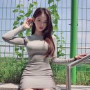수연 이미지